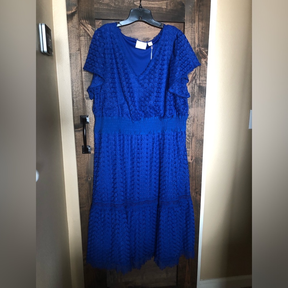 Gorgeous stretch lace dress by Lacey Chabert